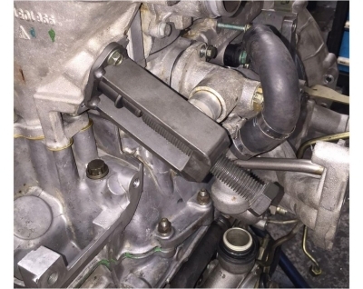 Timing Chain Tensioners