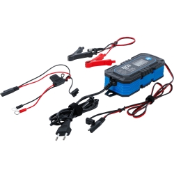 Digital Battery Charger and Maintainer, 6/12 V, 4 A