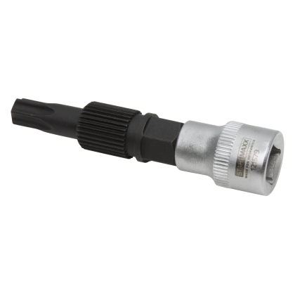 Tubulară pentru fulia cu roată liberă a alternatorului, T50 / 31 dinți Ø14 mm – Alfa Fiat Opel
