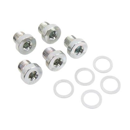 Drain Plug with Sealing Ring, 5 pcs, for BMW Transfer Case, for Drilling / Milling Tool Item no. 123205
