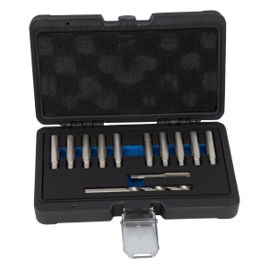 Set de reparație pentru filetul bolțului de ghidare al etrierului, 12 piese, M9x1.25 la M10x1.25