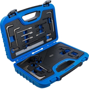 Timing Tool Kit for Ford Zetec Engines & Diesel Models (21 pcs)