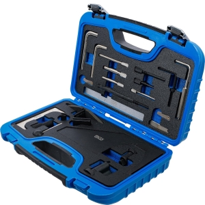 Timing Tool Kit for Ford Zetec Engines & Diesel Models (21 pcs)